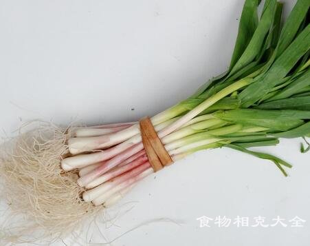 蒜苗相克的食物有哪些