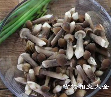 鸡枞相克的食物有哪些