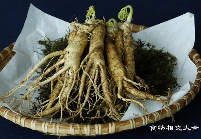 人参不能和什么一起吃