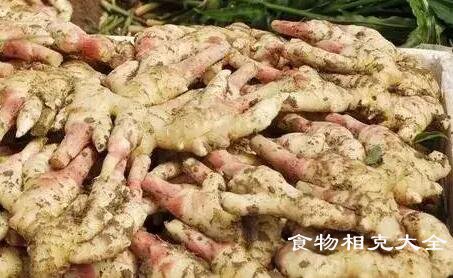 姜不能和什么一起吃