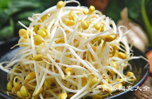 黄豆芽不能和什么一起吃