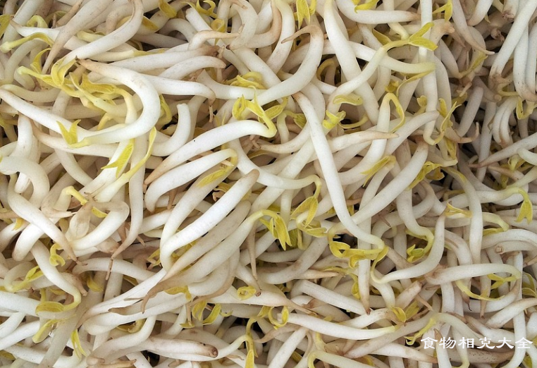 绿豆芽相克的食物有哪些