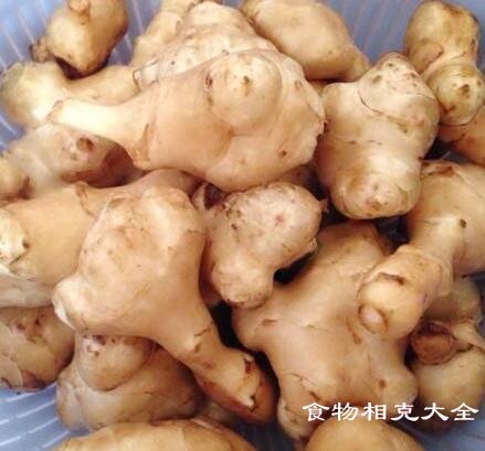 洋姜不能和什么一起吃