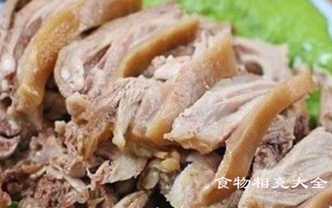 狗肉相克的食物有哪些