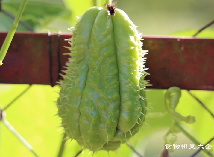 佛手瓜不能和什么一起吃