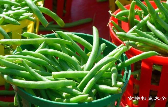 四季豆不能和什么一起吃