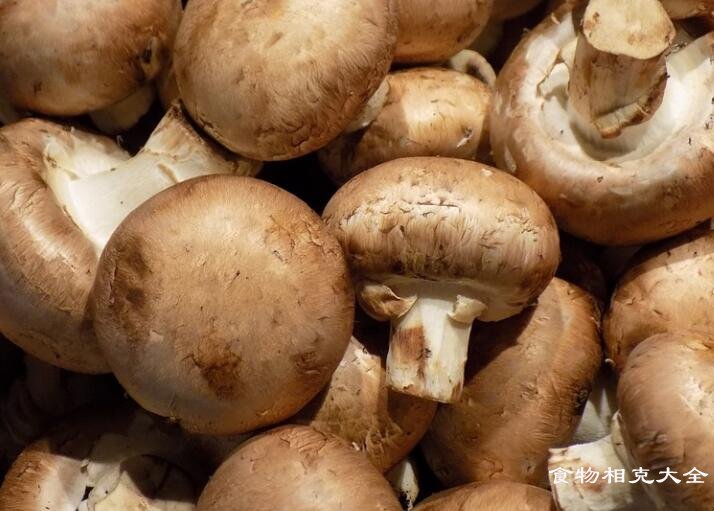 香菇相克的食物有哪些