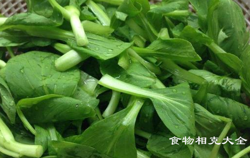 鸡毛菜相克的食物有哪些