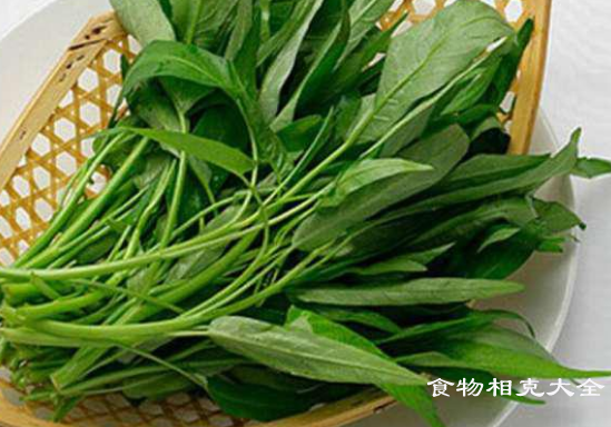 空心菜相克的食物有哪些
