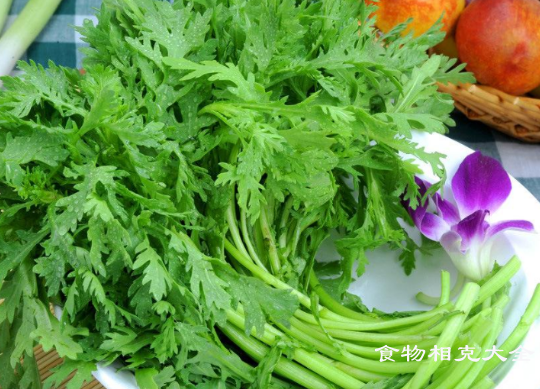 大叶茼蒿的营养价值