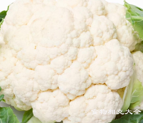 白花菜的营养价值