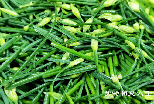 韭苔的营养价值