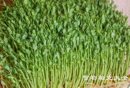 豌豆尖的营养价值