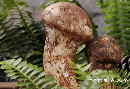 松茸的营养价值
