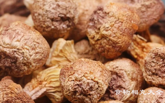 姬松茸的营养价值