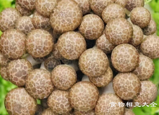 鸿喜菇的营养价值