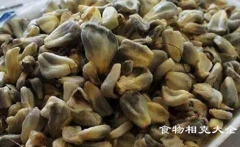 黑菌的营养价值