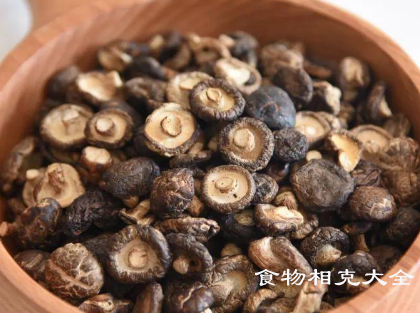 珍珠菇的营养价值