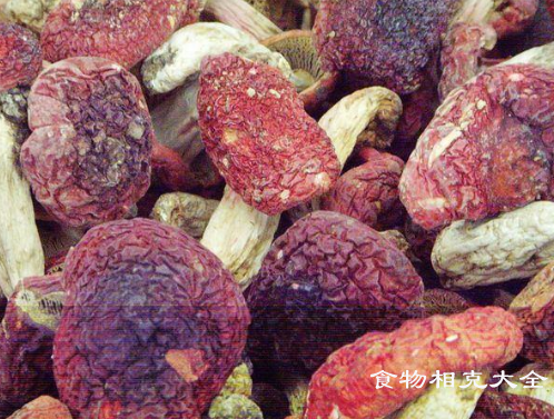 血红菇的营养价值
