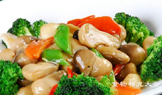 小草菇的营养价值