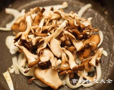 舞菇的营养价值