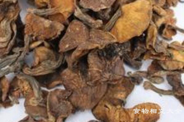 松蘑的营养价值