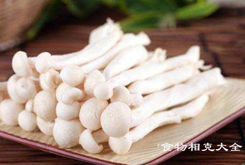 海鲜菇的营养价值