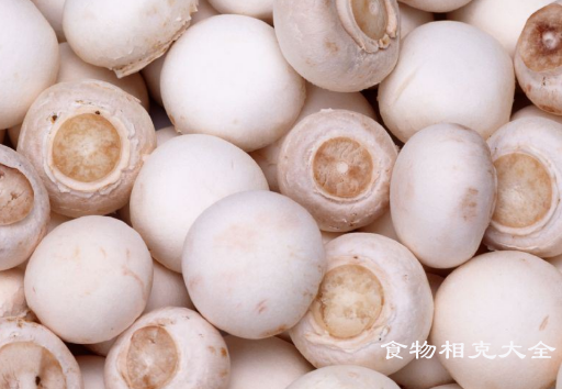 双孢菇的营养价值