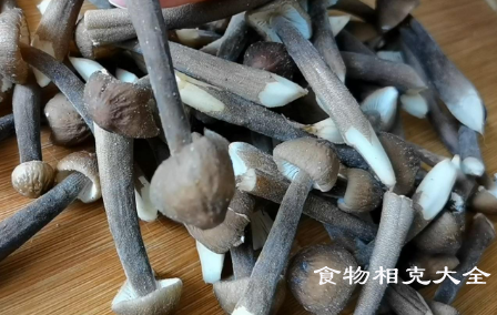 鸡枞的营养价值