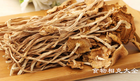 干茶树菇的营养价值