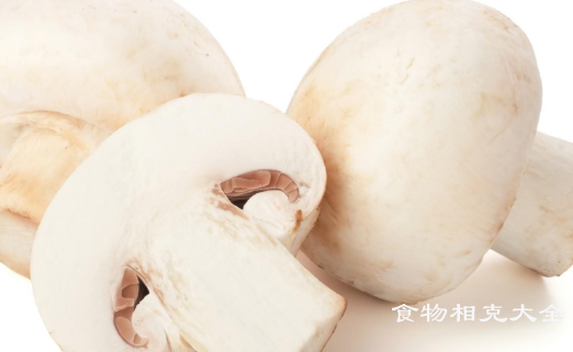白玉菇的营养价值