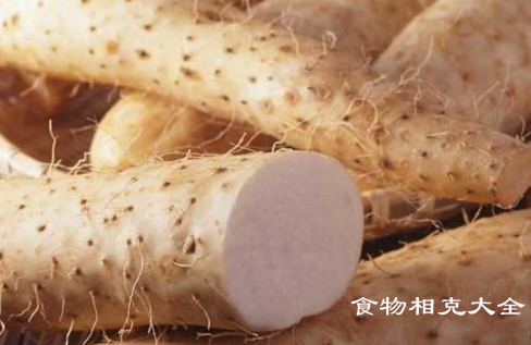 脆山药的营养价值