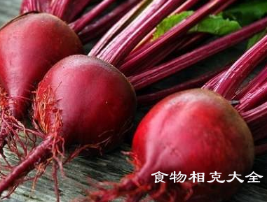 甜菜的营养价值