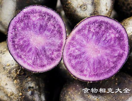 黑土豆的营养价值