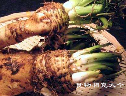 辣根的营养价值