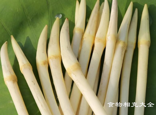 藕带的营养价值