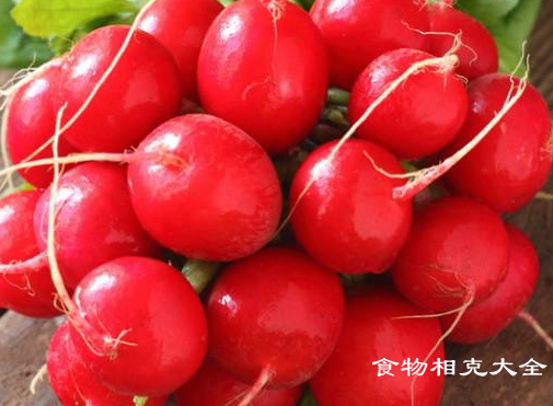 樱桃萝卜的营养价值