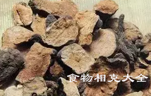 首乌的营养价值