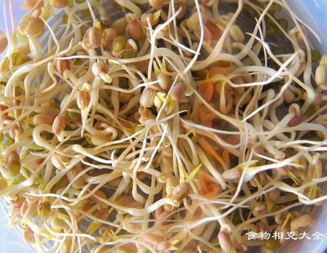 黄豆芽的营养价值