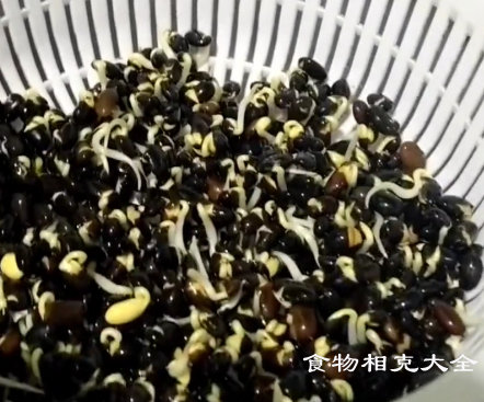 黑豆芽的营养价值