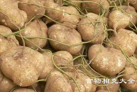 沙葛的营养价值