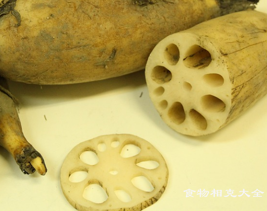 藕的营养价值