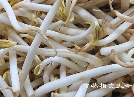 绿豆芽的营养价值