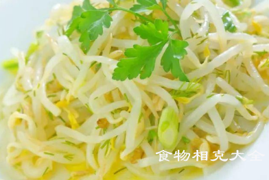 豆芽的营养价值