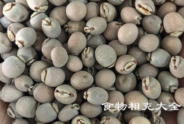 木豆的营养价值