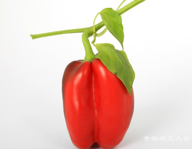 灯笼椒的营养价值