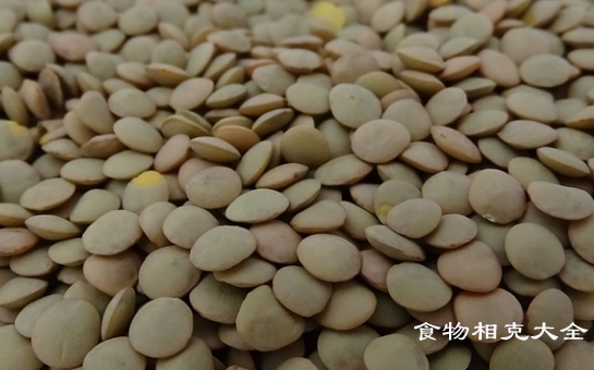 小扁豆的营养价值