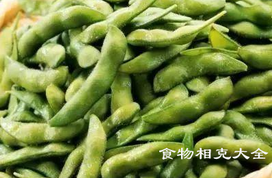 毛豆的营养价值