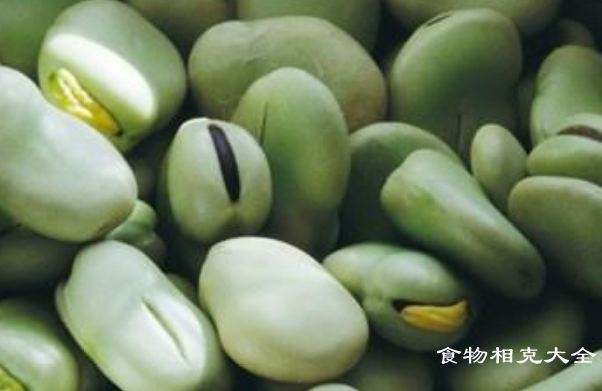 蚕豆的营养价值