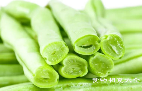 四季豆的营养价值